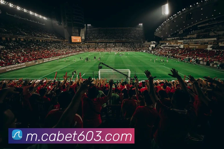 ca亚洲城APP 封面图